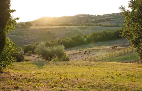 Matrimoni Agriturismo Le Chiuse